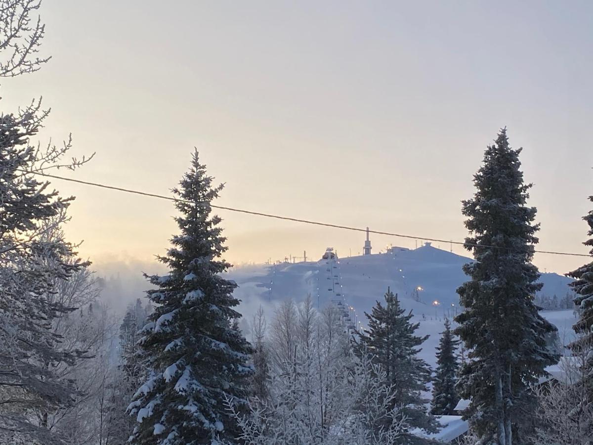 רוקה Villa Saarua By The Slopes Ski In, Family & Bike Park, Hike Trails, National Park, Wifi - Lapland Villas מראה חיצוני תמונה