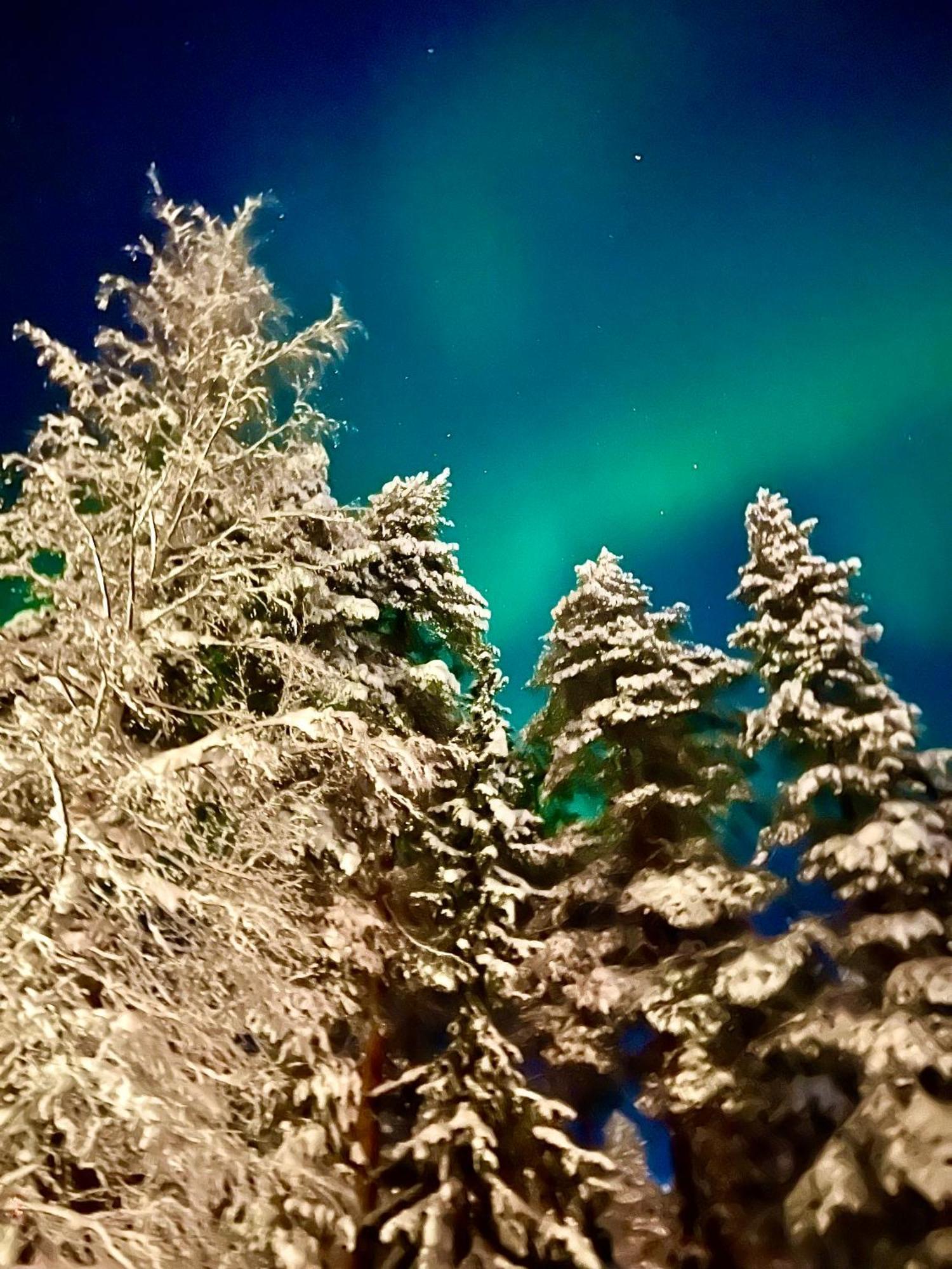 רוקה Villa Saarua By The Slopes Ski In, Family & Bike Park, Hike Trails, National Park, Wifi - Lapland Villas מראה חיצוני תמונה