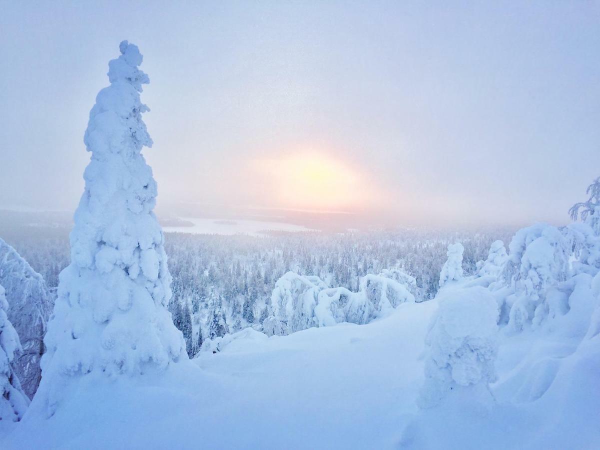 רוקה Villa Saarua By The Slopes Ski In, Family & Bike Park, Hike Trails, National Park, Wifi - Lapland Villas מראה חיצוני תמונה